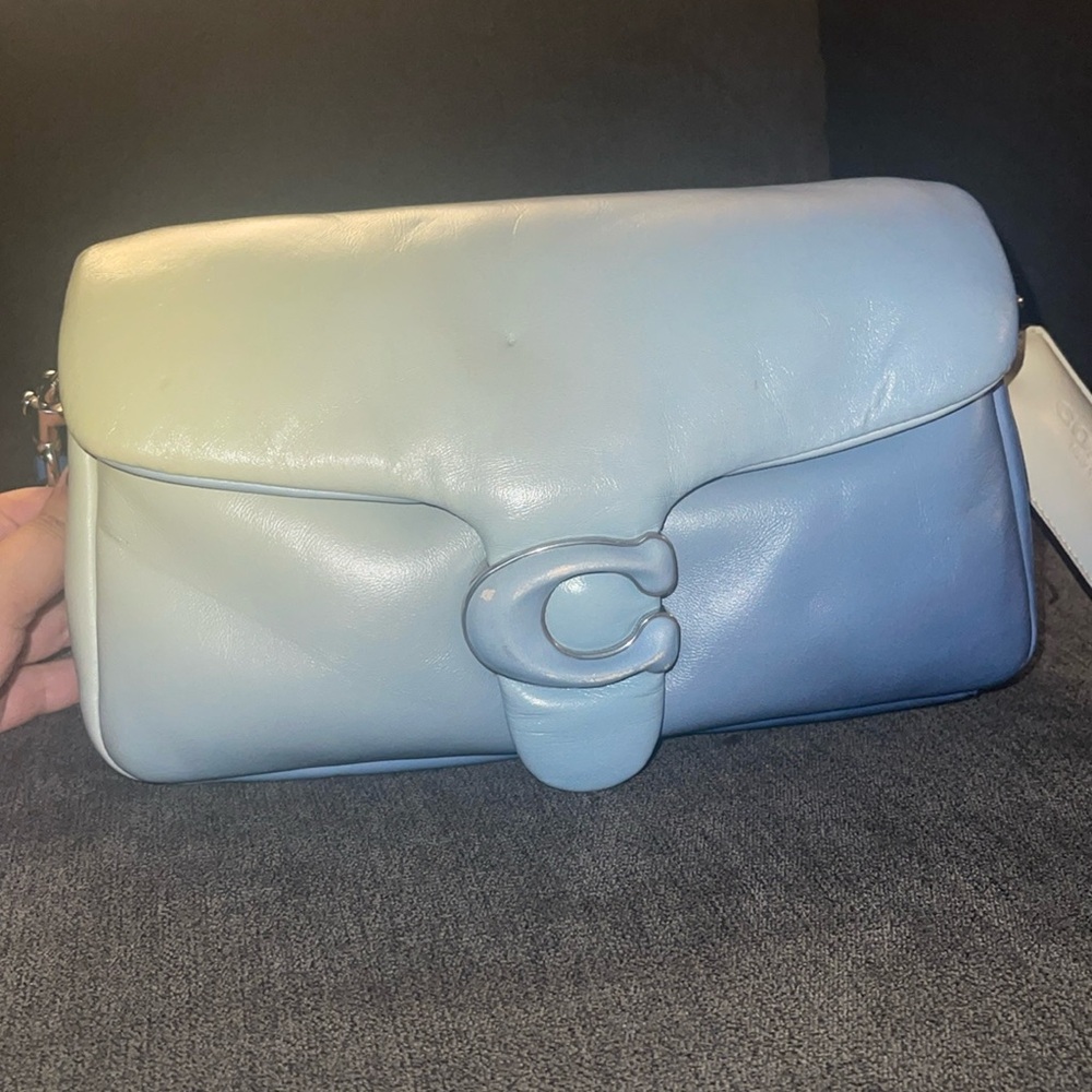 Coach pillow, tabby, blue ombre size 26 with silver hardware